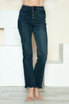 Judy Blue Button Fly Dark Wash Straight Jeans